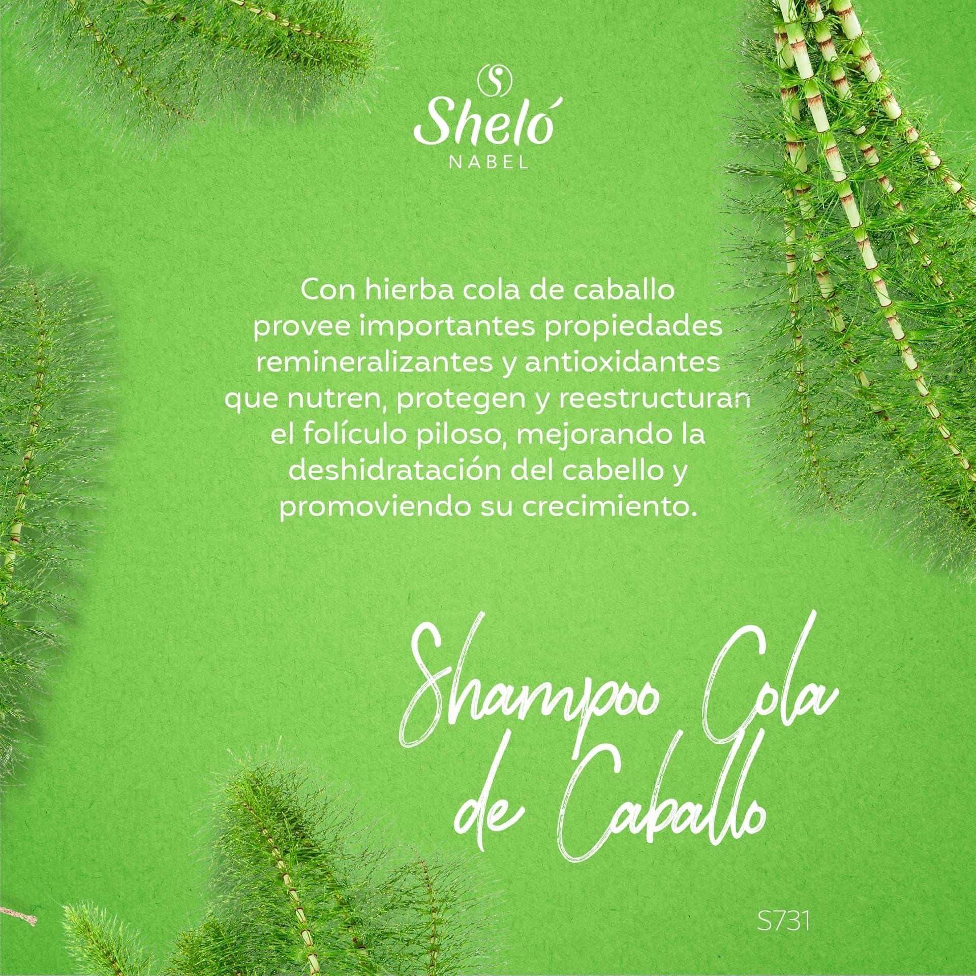 SHAMPOO DE COLA DE CABALLO