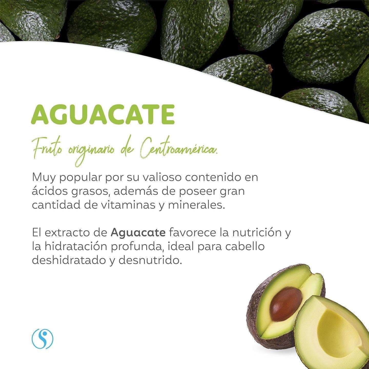 SHAMPOO DE AGUACATE